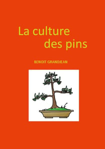 La culture des pins : bonsaï et niwaki