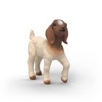 Figurine chèvre boer - Schleich