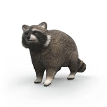 Figurine raton-laveur - Schleich