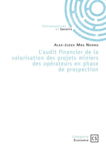 L'audit financier de la valorisation des projets miniers des opérateurs en phase de prospection : Ou comment fiabiliser l'incertitude