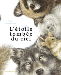 L'étoile tombée du ciel