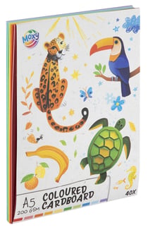 MOXY PAPIER A5 COLORE