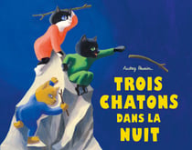 Trois chatons dans la nuit