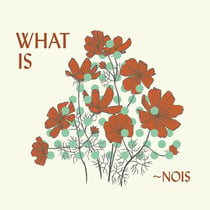 What Is Nois