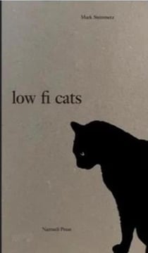 Mark Steinmetz : Low-fi Cats