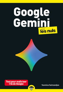 Google Gemini poche pour les Nuls