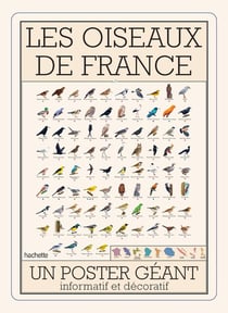 Les oiseaux de France : Un poster géant informatif et décoratif