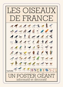 Les oiseaux de France : Un poster géant informatif et décoratif