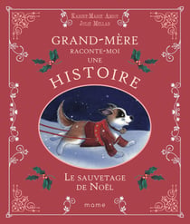 Le sauvetage de noel