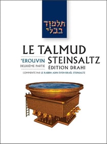 Le Talmud Steinsaltz T5 - 'Erouvin 2 : 'Erouvin 2