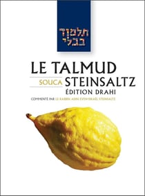 Le Talmud Steinsaltz T10 - Souca : Souca