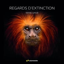 Regards d'extinction