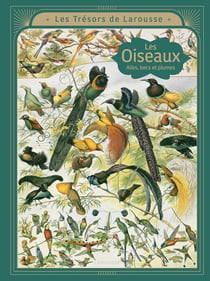 Les trésors de Larousse : Les oiseaux : Ailes, becs et plumes
