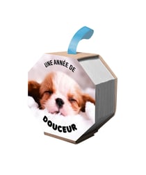 Éphéméride : Une année de douceur