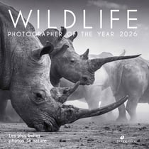 Wildlife Photographer of the Year : Les plus belles photos de nature (édition 2026)