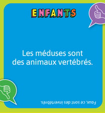 Apéro vrai ou faux en famille