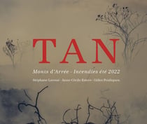 Tan : Monts d'Arrée - Incendies été 2022