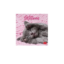 Calendrier 2027 Legami - Chatons - 18 x 18 cm
