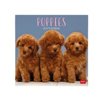 Calendrier mural 2027 Legami - Chiots - 30 x 29 cm