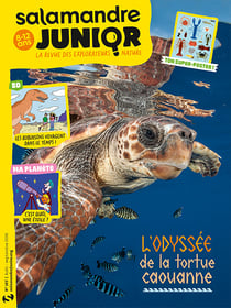 La salamandre junior n.167 : Août 2026