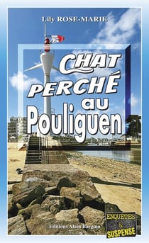Chat Perché au Pouliguen