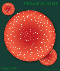 Champignons : Le monde des Fonges