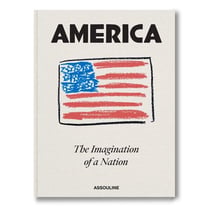 America: The Imagination of a Nation