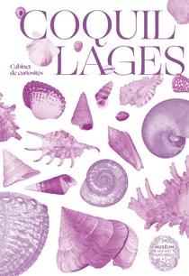 Coquillages - joyaux des mers