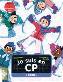 Il neige ! : Niveau 1