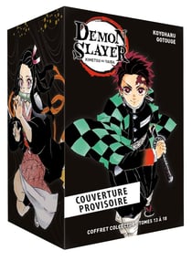 Demon Slayer - Coffret T13 à T18