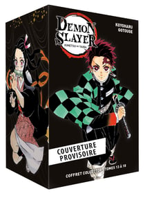 Demon Slayer - Coffret T13 à T18