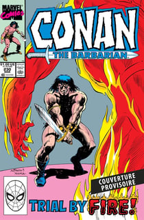 Conan le Barbare : L'intégrale (T24)