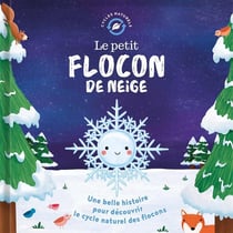 Le petit flocon de neige