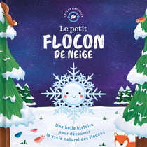 Le petit flocon de neige