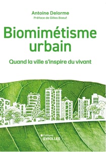 Biomimétisme urbain : Quand la ville s'inspire du vivant