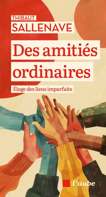 Des amities ordinaires - eloge des liens imparfaits