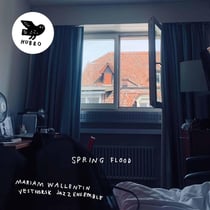 Spring Flood