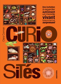 Curiosites