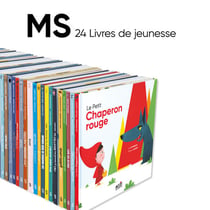 Lot - 24 livres de jeunesse ms - autour des livres