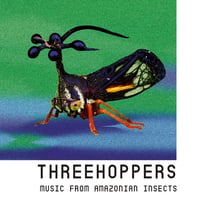 Threehoppers - Musique des insectes d'Amazonie