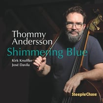 Shimmering Blue