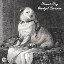 Prodigal Dreamer - édition gatefold 180g
