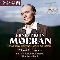 Symphony In G Minor - Violin Concerto