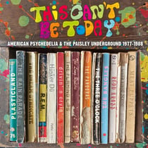 A Trip Through The Us Psychedelic Underground 1977/1988