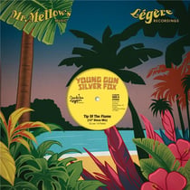 The Disco Mixes - édition limitée