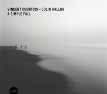 A Simple Fall