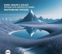 Newfoundland Tristesse