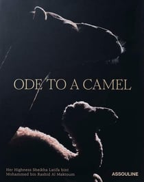Ode to a Camel