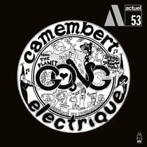 Camembert Electrique - édition limitée 180g