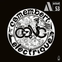 Camembert Electrique - édition limitée colorée 180g